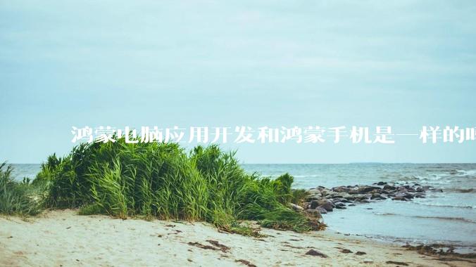 鸿蒙电脑应用开发和鸿蒙手机是一样的吗？