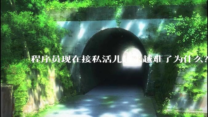 程序员现在接私活儿越来越难了为什么？