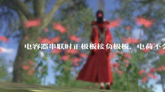 电容器串联时正极板接负极板，电荷不会中和吗？